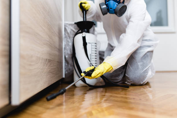 Best Wasp Removal Services  in Lattingtown, NY