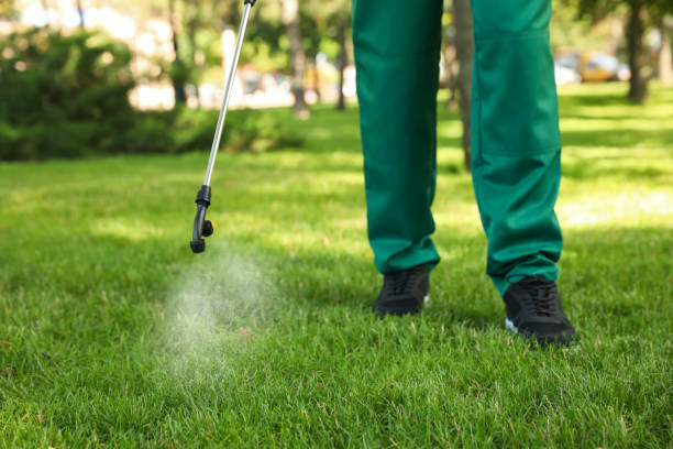 Best Insect Control  in Lattingtown, NY