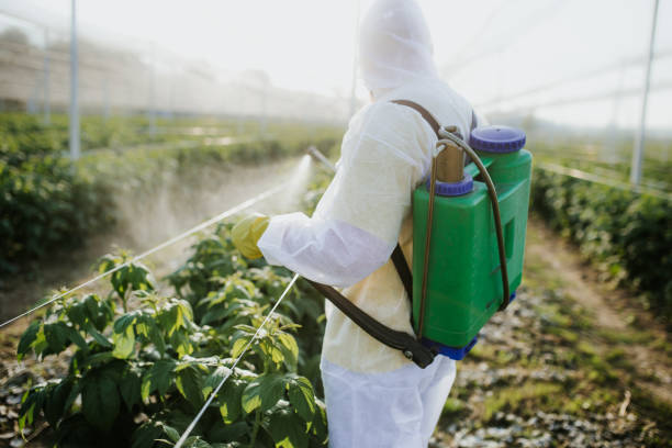 Best Residential Pest Control  in Lattingtown, NY